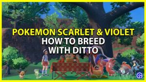 How To Breed Pokemon With Ditto In Scarlet Violet