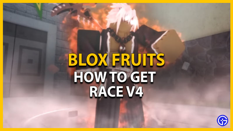 How To Get Race V In Blox Fruits Gamer Tweak