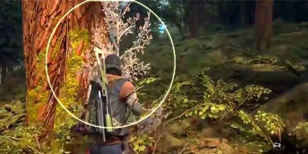 Days Gone How To Get Herbs