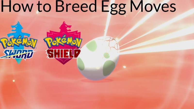 breed egg moves in pokemon sword and shield