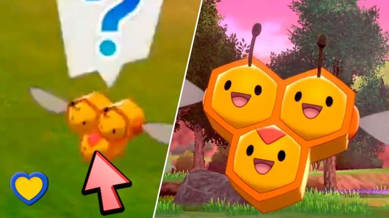 how to get female combee in pokemon sword shield
