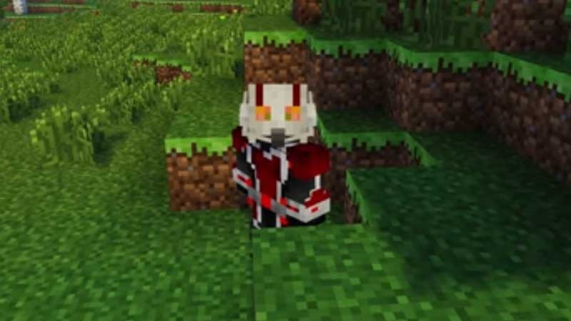 How to install Antman Mod in Minecraft