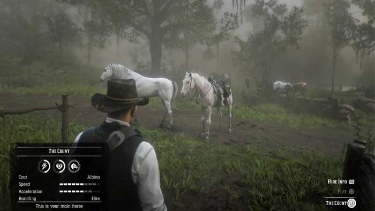 How To Get Red Dead Redemption 2 S Best Horses Early For Free - best horse games in roblox