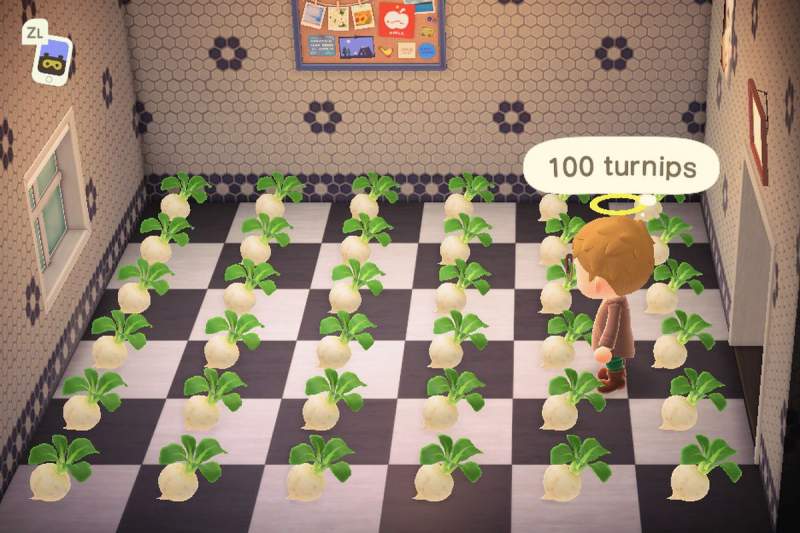 Animal Crossing New Horizons Turnips buying guide