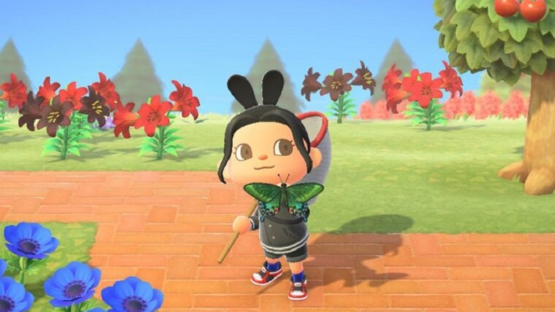 How to Catch A Peacock Butterfly in Animal Crossing New Horizons