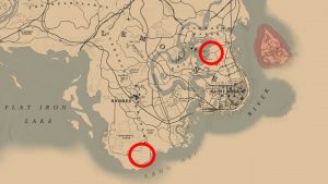 RDR 2 Panther Location Guide: Where to find Panthers in Red Dead ...