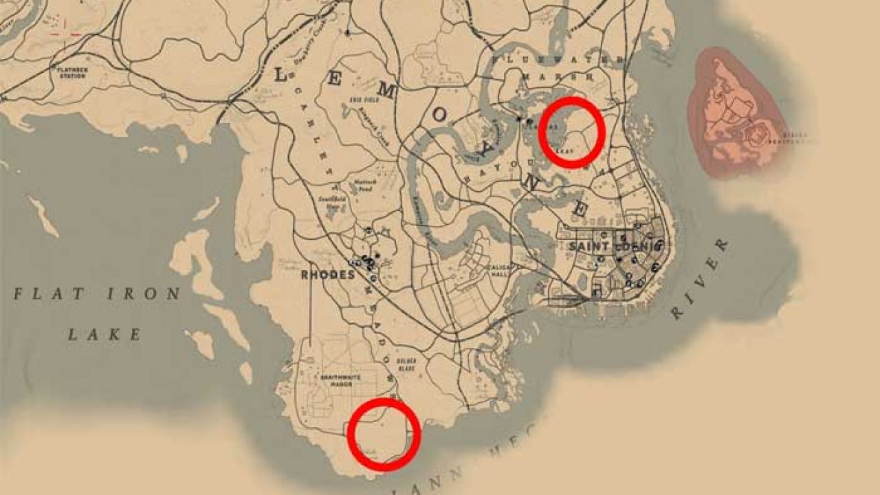 Rdr 2 Panther Location Guide Where To Find Panthers In Red Dead