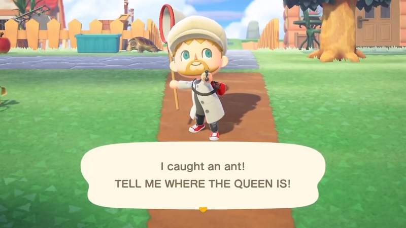 How To Catch Ants In Animal Crossing New Horizons