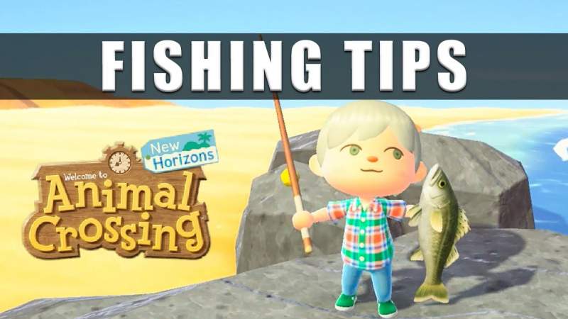 How To Get Fish Bait Easily In Animal Crossing New Horizons