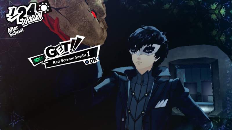 will seeds of sorrow persona 5 royal