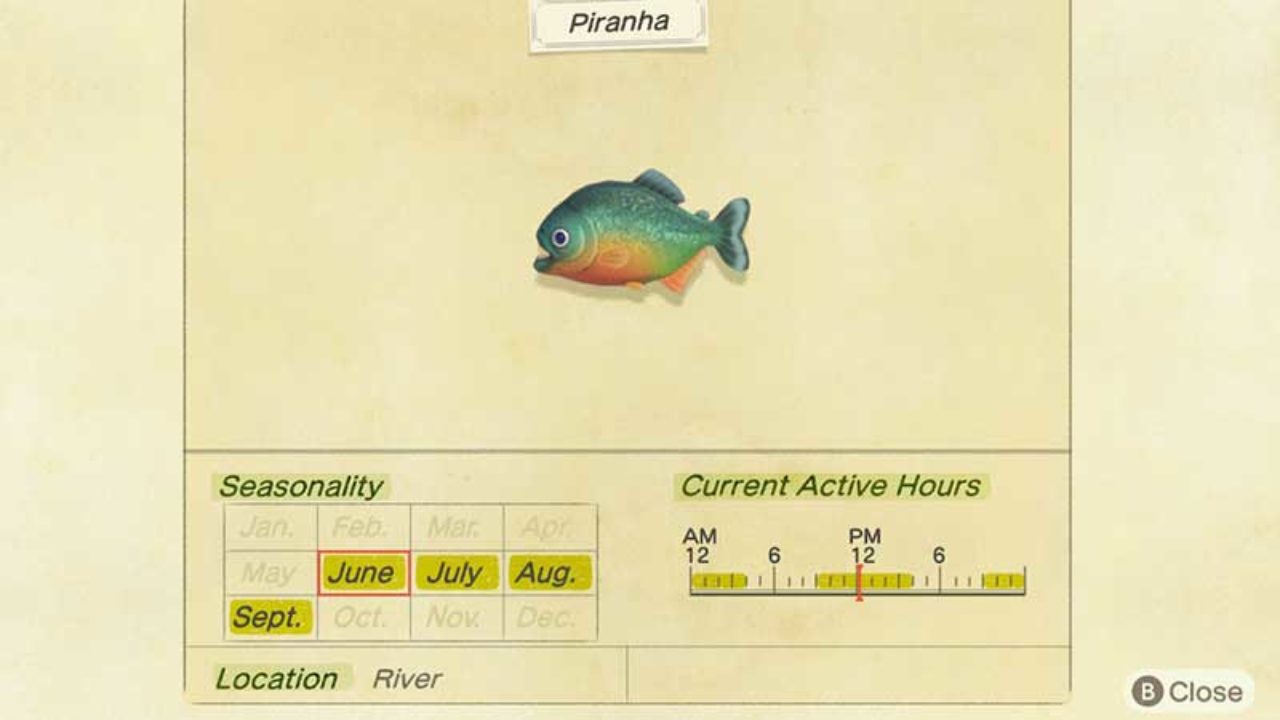 How To Catch Piranhas In Animal Crossing New Horizons Acnh - how do you catch fish in roblox surviver