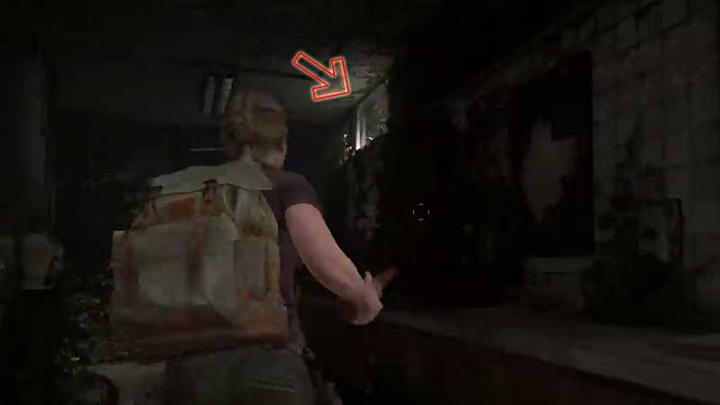 TLOU2 Abby's Missions