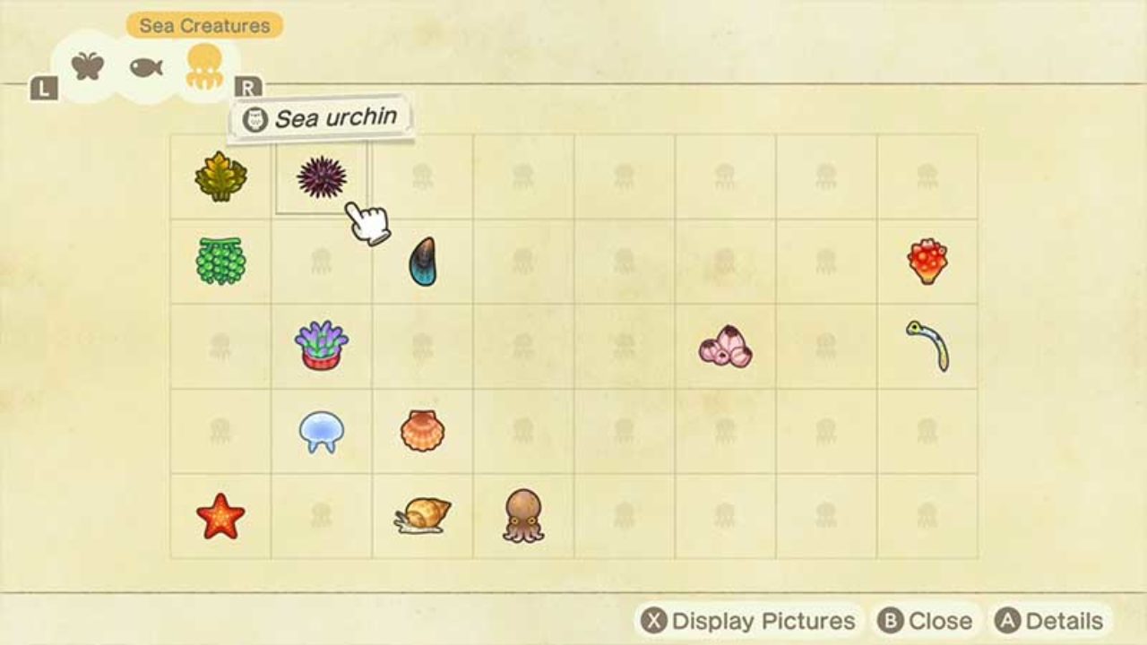 All Sea Creatures In Animal Crossing New Horizons: Complete List