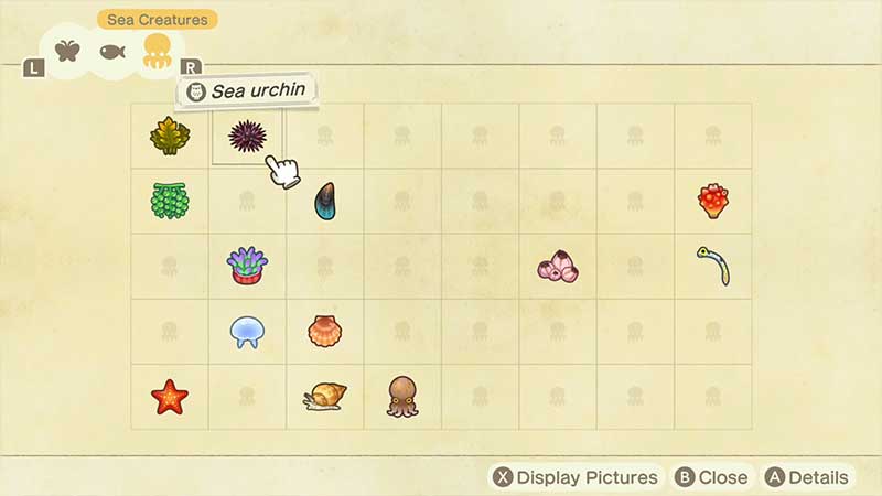 all-sea-creatures-in-animal-crossing-new-horizons-list