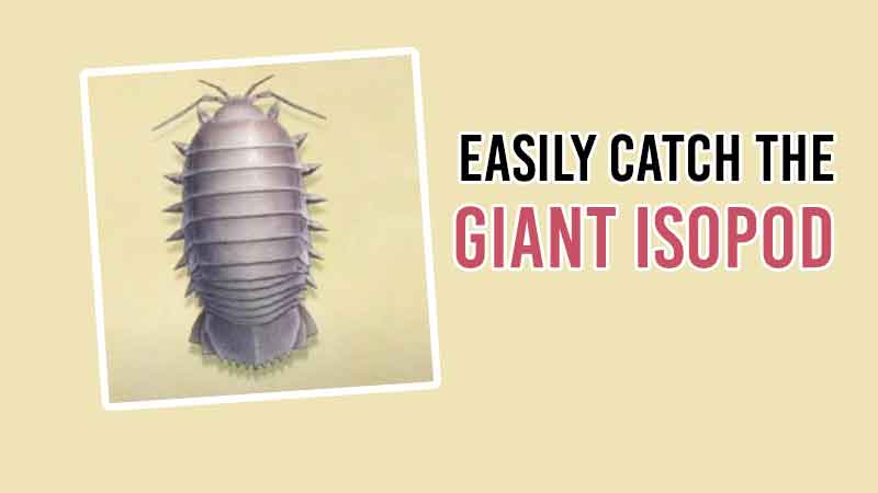 how-to-catch-the-giant-isopod-in-acnh