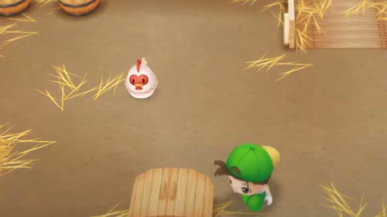How To Buy Raise Chickens In Story Of Seasons Friends Of Mineral Town - best way to get money in farm life roblox codes