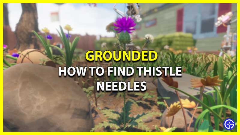 How To Find Thistle Needles In Grounded