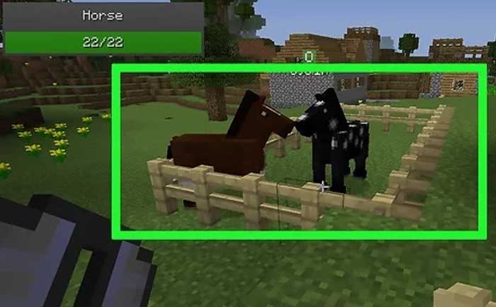 Minecraft Horses Food