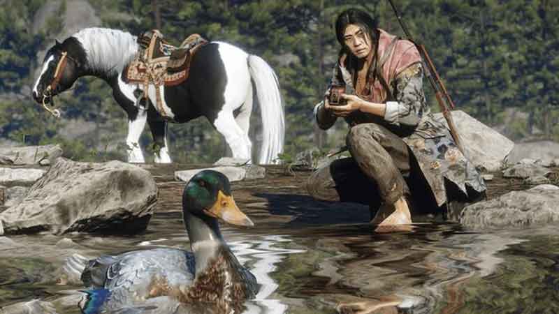 How to Sedate Animals in Red Dead Online