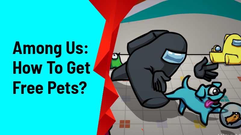 Among Us: How To Get Free Pets?