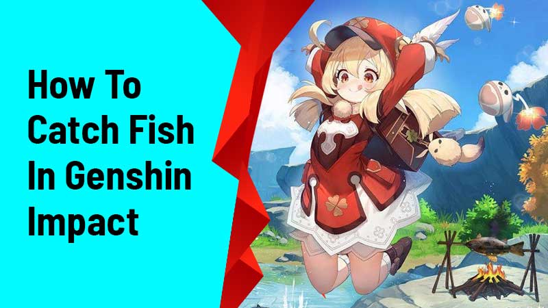 How To Catch Fish In Genshin Impact