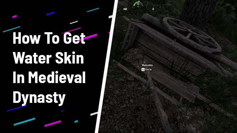 How To Get Water Skin In Medieval Dynasty