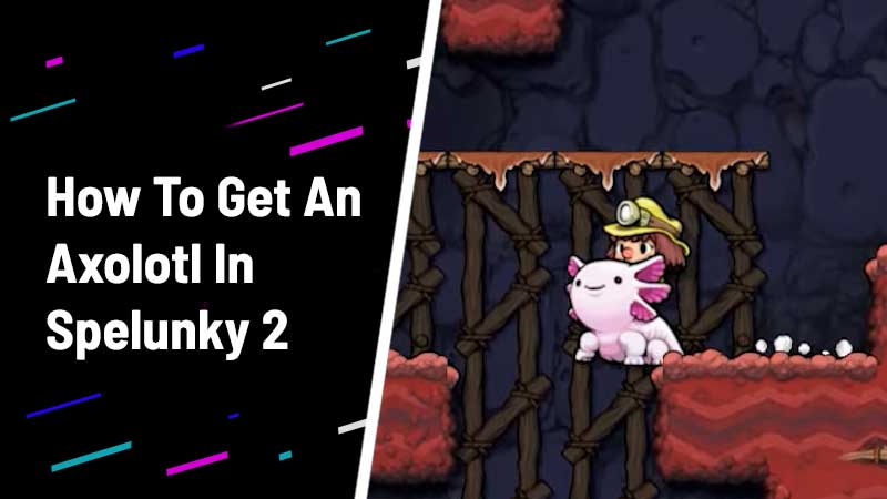 how to get axolotl spelunky 2