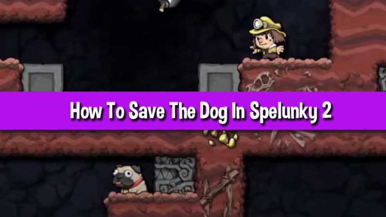 How To Save The Dog In Spelunky 2 Rescue The Dogs - in animal rescue roblox