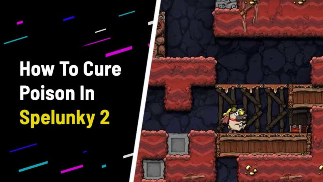 Spelunky 2 How To Cure Poison Remove Poison Heal - poisoned limiteds roblox