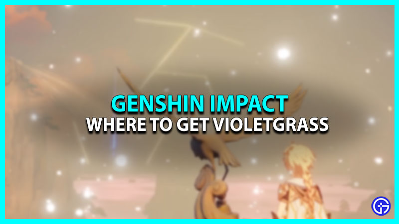All Violetgrass Locations In Genshin Impact