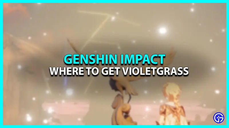 All Violetgrass Locations In Genshin Impact