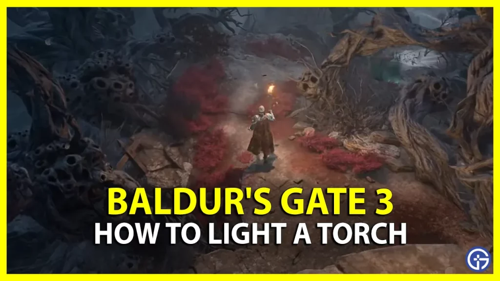 How To Light A Torch And Use Light Source In Baldur’s Gate 3