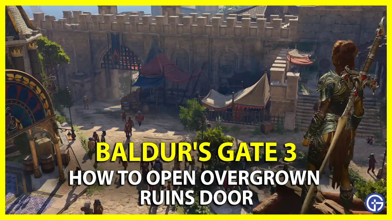 How to Open & Enter Overgrown Ruins Door in BG3 Baldur's Gate 3 all entrances