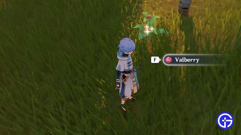 find valberry location in genshin impact