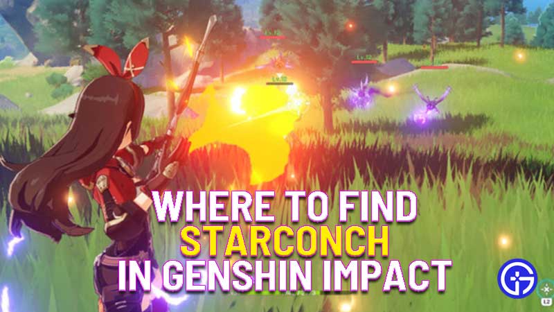 genshin impact starconch where to find them