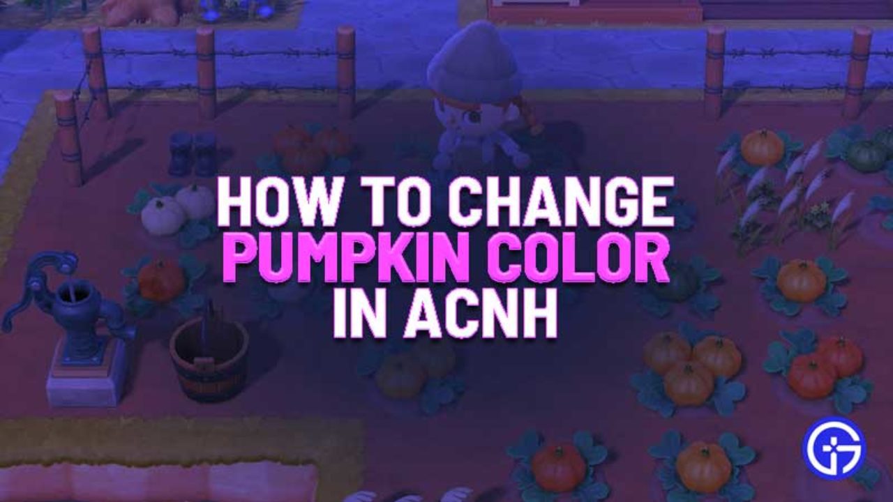 How To Change Pumpkin Color In Animal Crossing New Horizons - purple pumpkin head roblox