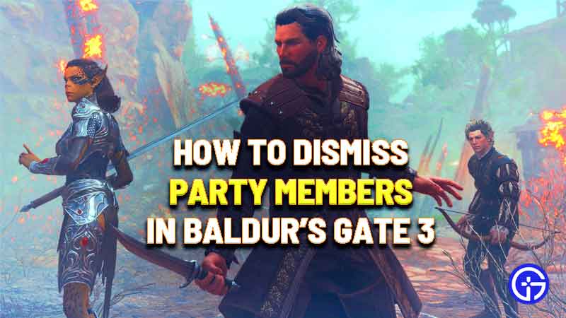 How To Dismiss Party Members In Badlur's Gate 3 Easily