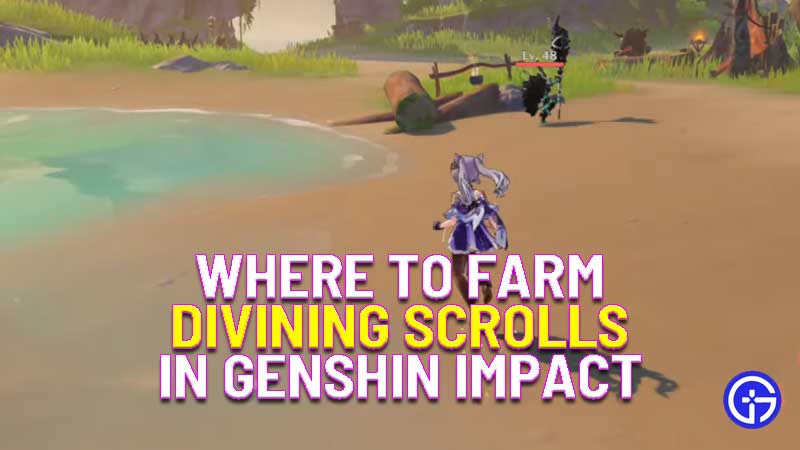where to farm divining scrolls in genshin impact samachurls locations