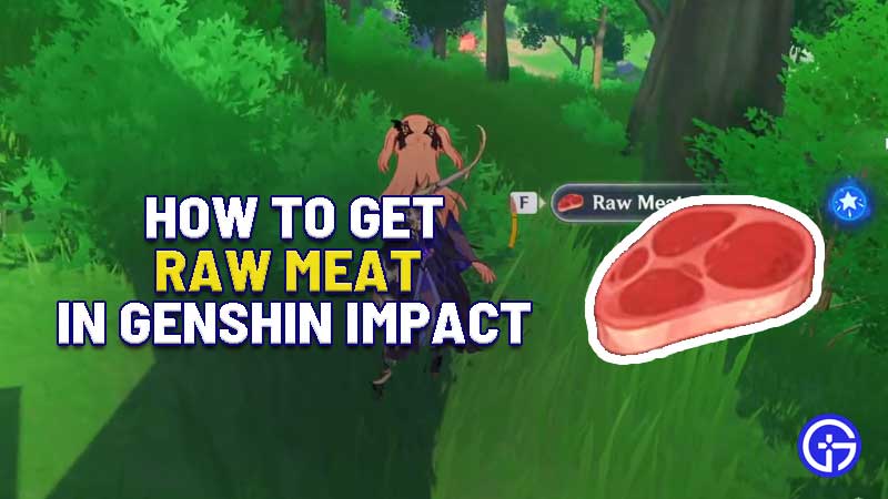 how-to-get-raw-meat-in-genshin-impact-boar-locations