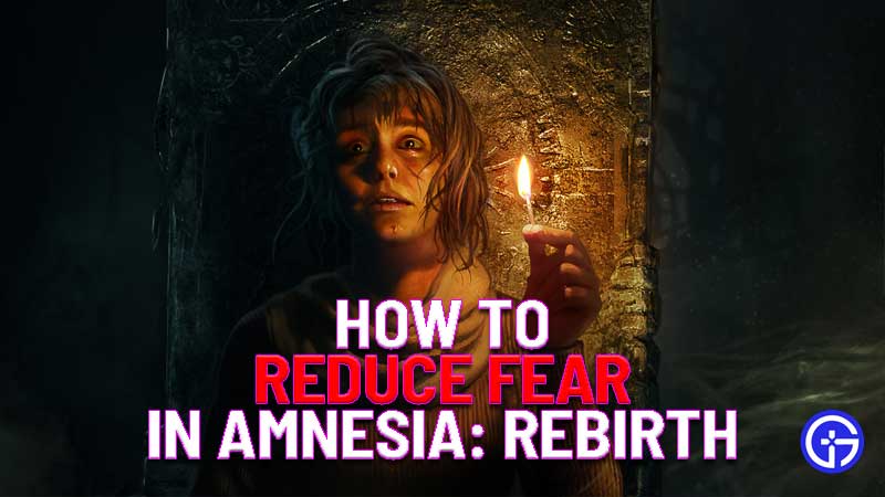 how to reduce fear in amnesia rebirth