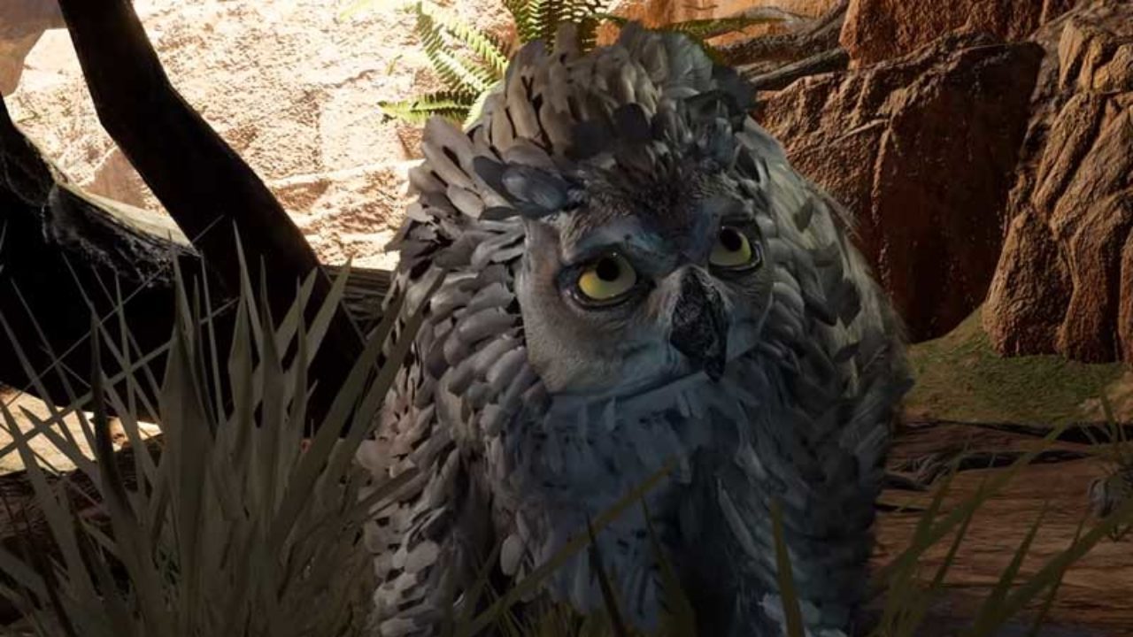 Baldur S Gate 3 How To Tame Owlbear Cub Gamer Tweak - how to get the legit owl in roblox