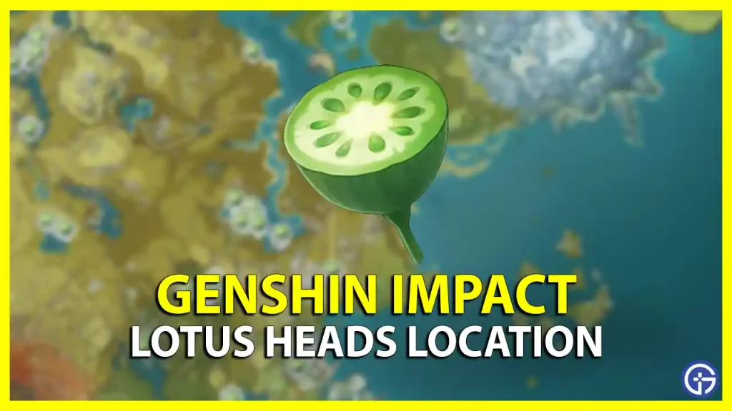 where to find farm lotus heads genshin