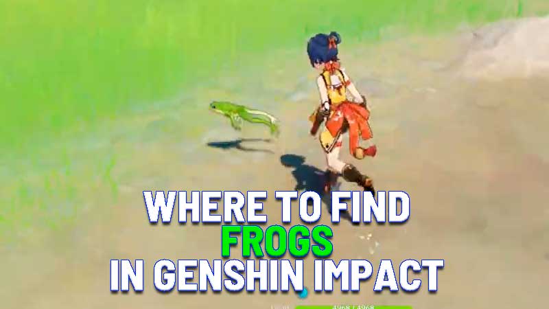 where to find frogs in genshin impact