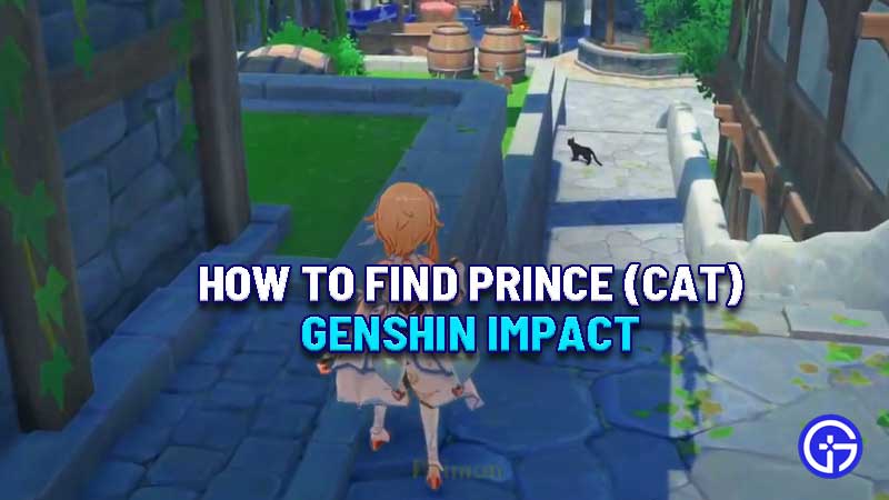 where-to-find-prince-genshin-impact