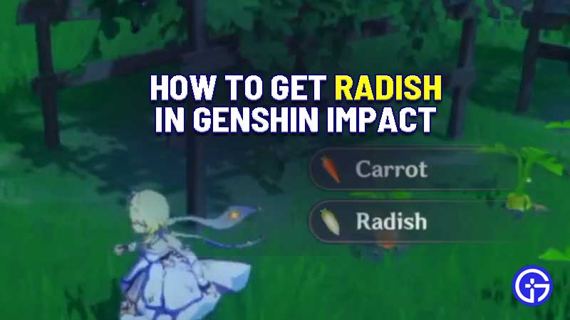 where-to-find-radish-genshin-impact-location