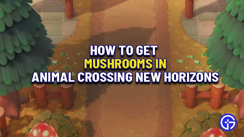 Animal-crossing-new-horizons-mushrooms-guide