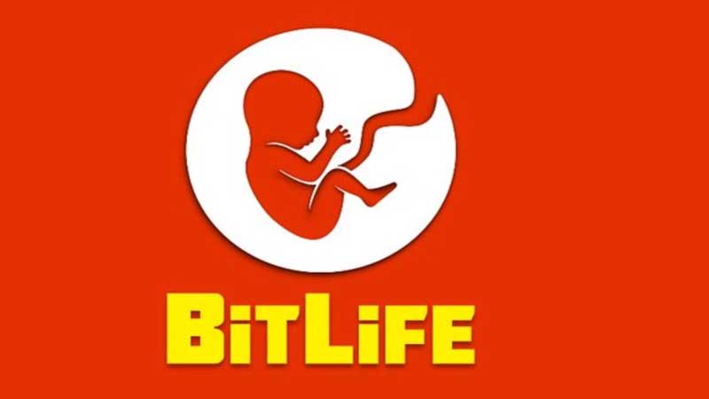 BitLife Lawsuit Guide
