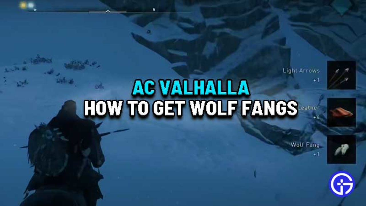 Assassin S Creed Valhalla Wolf Fang Location Where To Find - roblox wolves den all secret notes