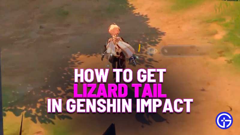 how to get lizard tail genshin impact