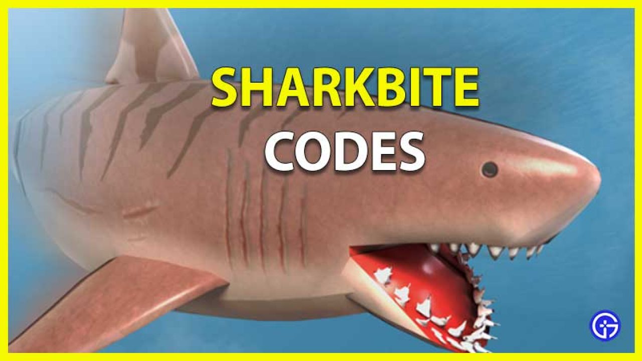 Roblox Sharkbite Codes July 2021 Get Free Shark Teeth - shark bite roblox codes 2021